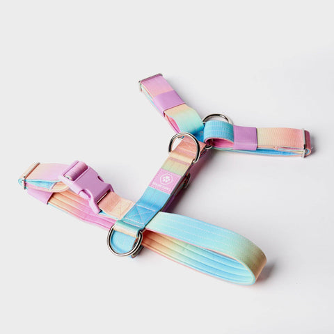 Spark paws - Comfort Control No-Pull Dog Harness - Pastel Icing