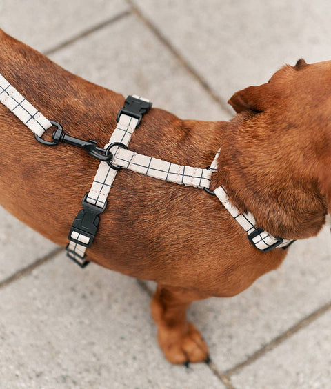 Recycled PET Harness, Linea Beige Design
