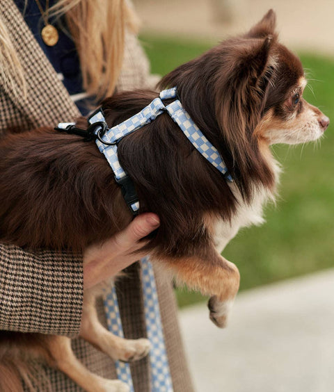 Recycled PET Harness, Vichy Blue Design