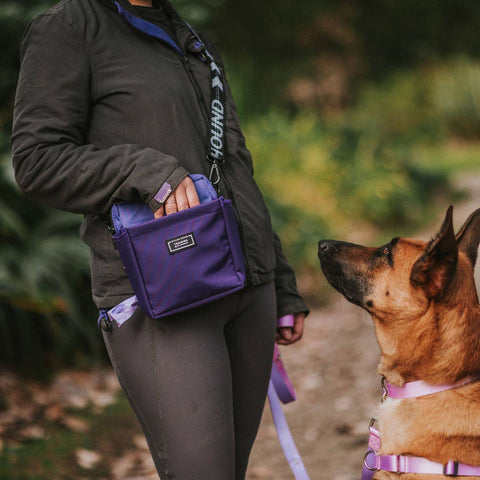 Stylish Hound - OG Treat Pouch - Orchid
