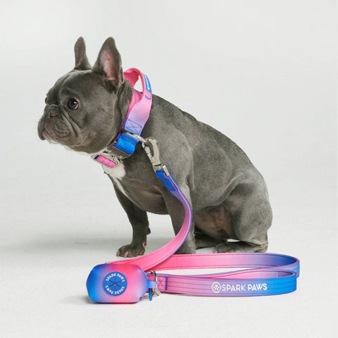 Poop Bag Holder - Snow Cone