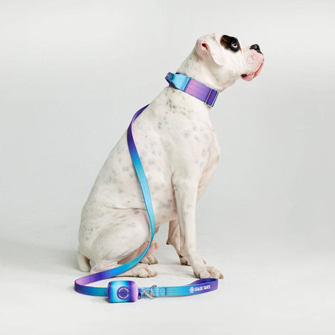 Poop Bag Holder - 90s Retro