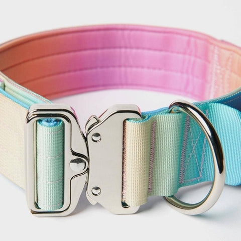 Spark paws - Tactical Dog Collar - Pastel Icing