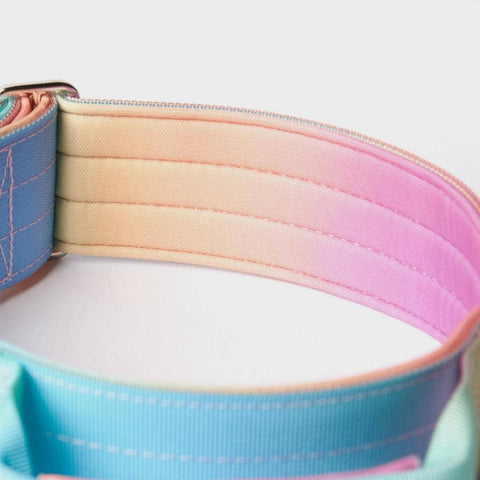 Spark paws - Tactical Dog Collar - Pastel Icing