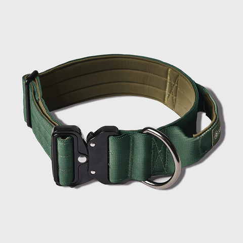Tactical Dog Collar - Green
