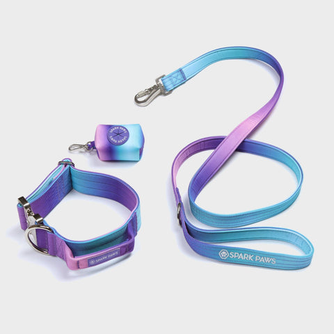 Poop Bag Holder - 90s Retro