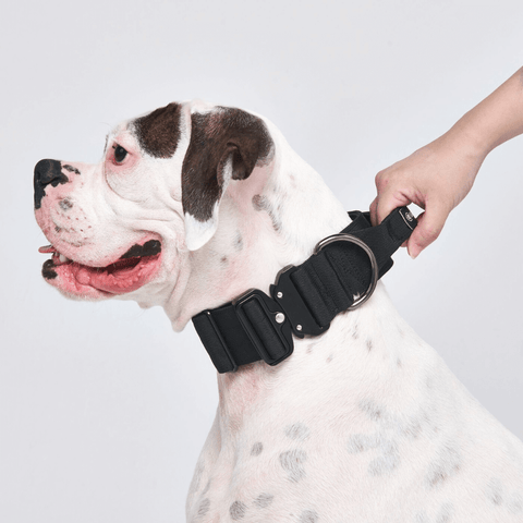 Tactical Dog Collar - Black