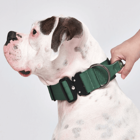 Tactical Dog Collar - Green