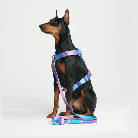 Poop Bag Holder - 90s Retro