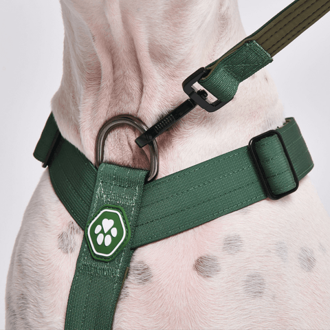 Spark Paws - Comfort Control No-Pull Dog Harness - Green