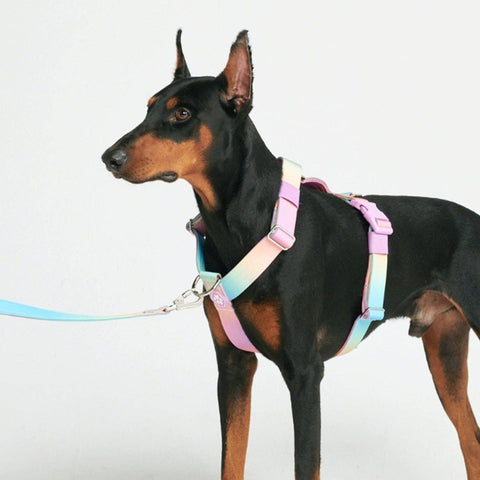 Spark paws - Comfort Control No-Pull Dog Harness - Pastel Icing