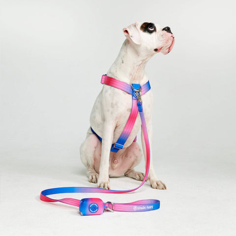 Poop Bag Holder - Snow Cone