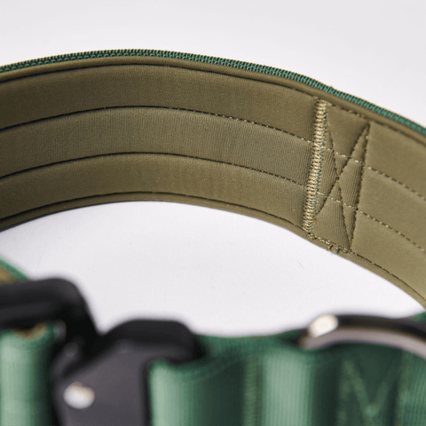 Tactical Dog Collar - Green