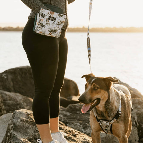 Stylish Hound - OG Treat Pouch - Evergreen