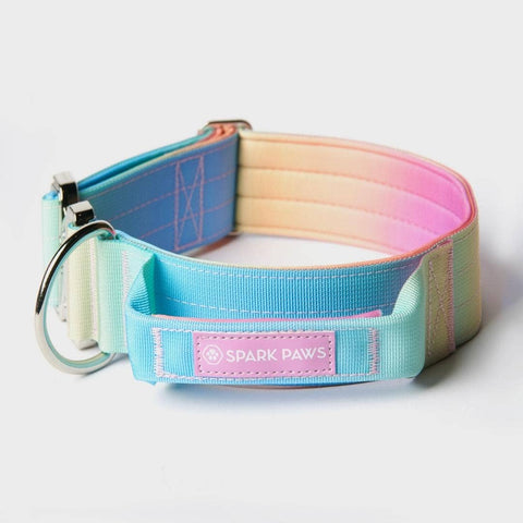 Spark paws - Tactical Dog Collar - Pastel Icing