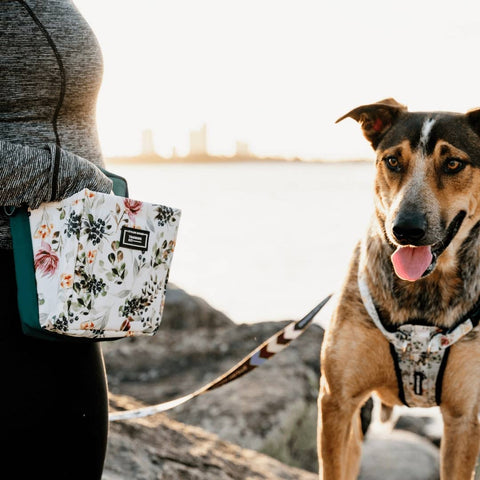 Stylish Hound - OG Treat Pouch - Evergreen