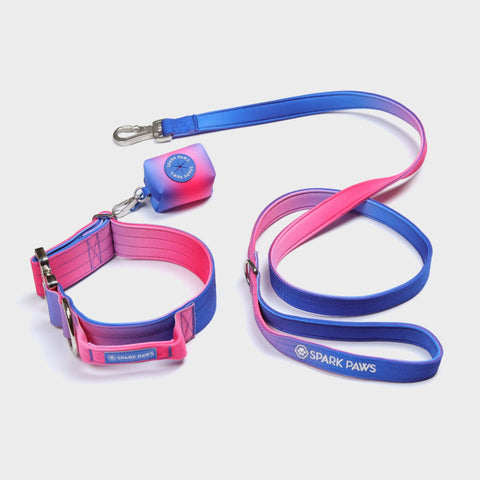 Poop Bag Holder - Snow Cone