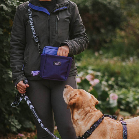 Stylish Hound - OG Treat Pouch - Orchid