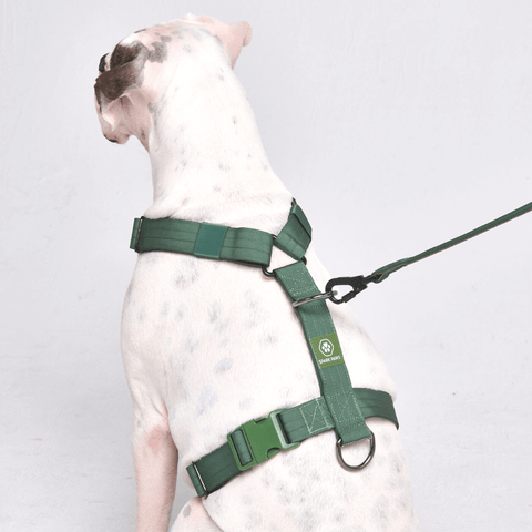 Spark Paws - Comfort Control No-Pull Dog Harness - Green
