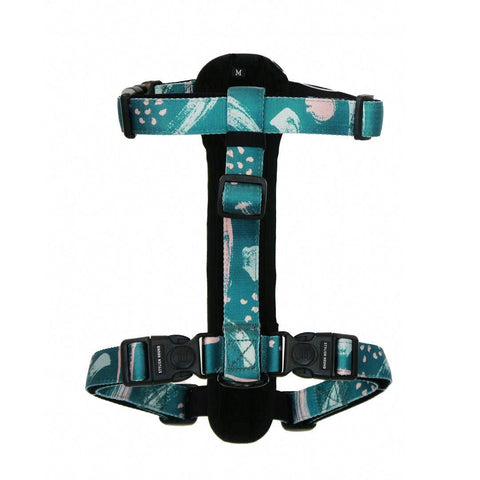 Nova Explorer Chest Plate