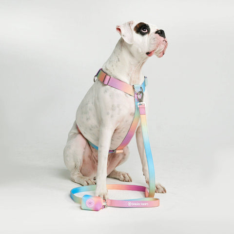 Spark paws - Comfort Control No-Pull Dog Harness - Pastel Icing